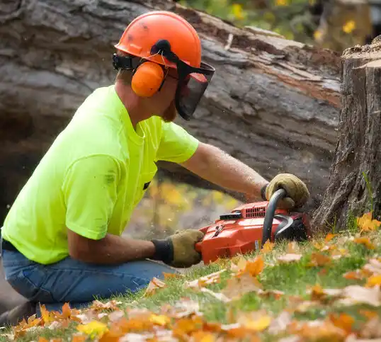 tree services Salyersville